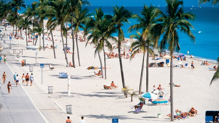 Hollywood In Florida Besuch Bilder Und Reisetipps USA Reisetipps Hollywood In Florida Besuch Bilder Und Reisetipps USA Reisetipps